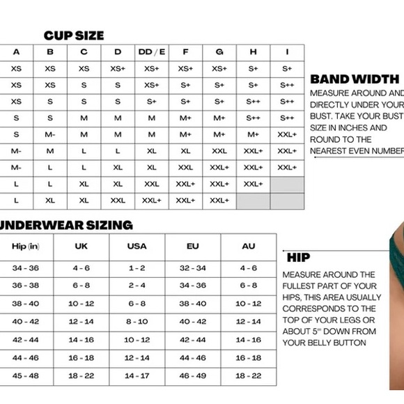 Bundle of 2 NWT Empress Mimi panties honey bunny and majestic peacock - Picture 3 of 6